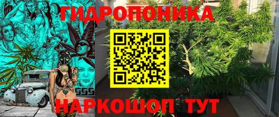 СК Камышлов